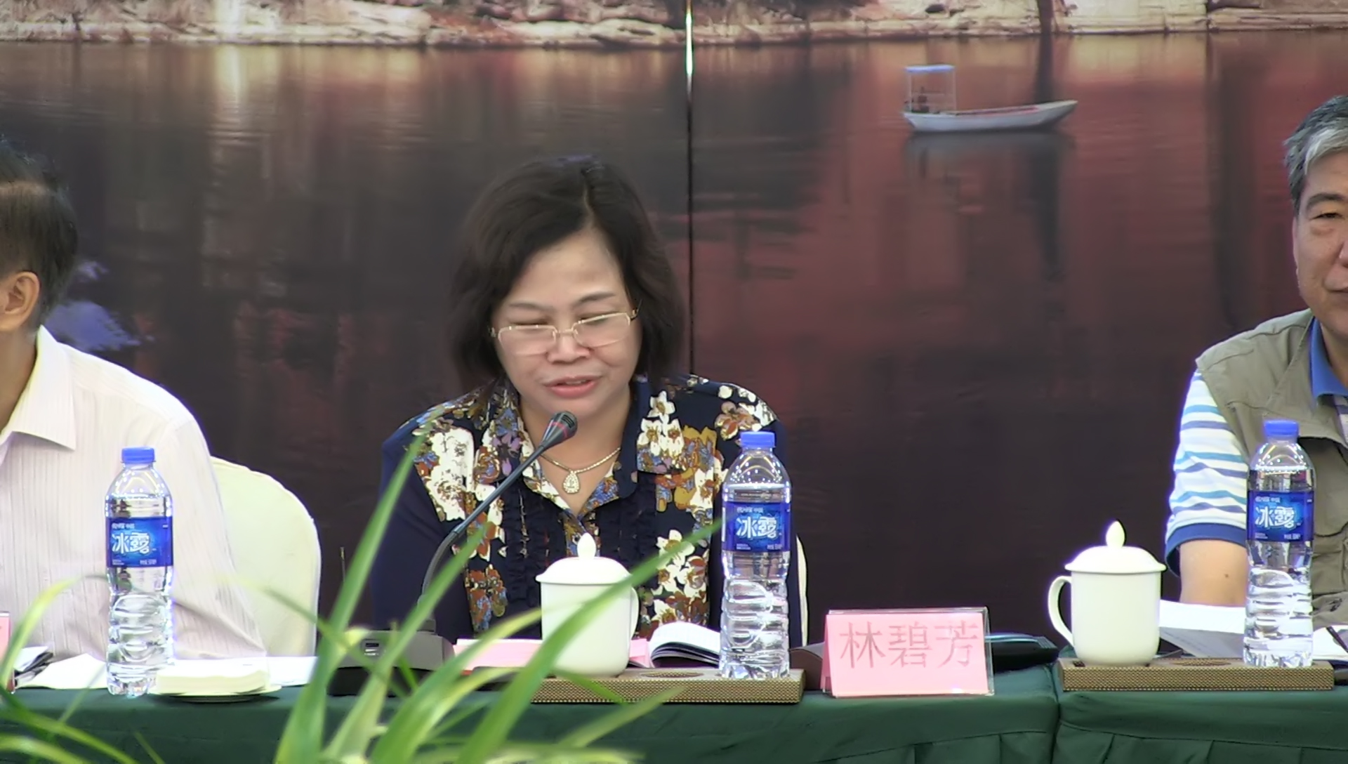 八省(市、区)执业药师协会第五次协作会议在泰宁召开(图2) 八省(市、区)执业药师协会第五次协作会议在泰宁召开(图2)