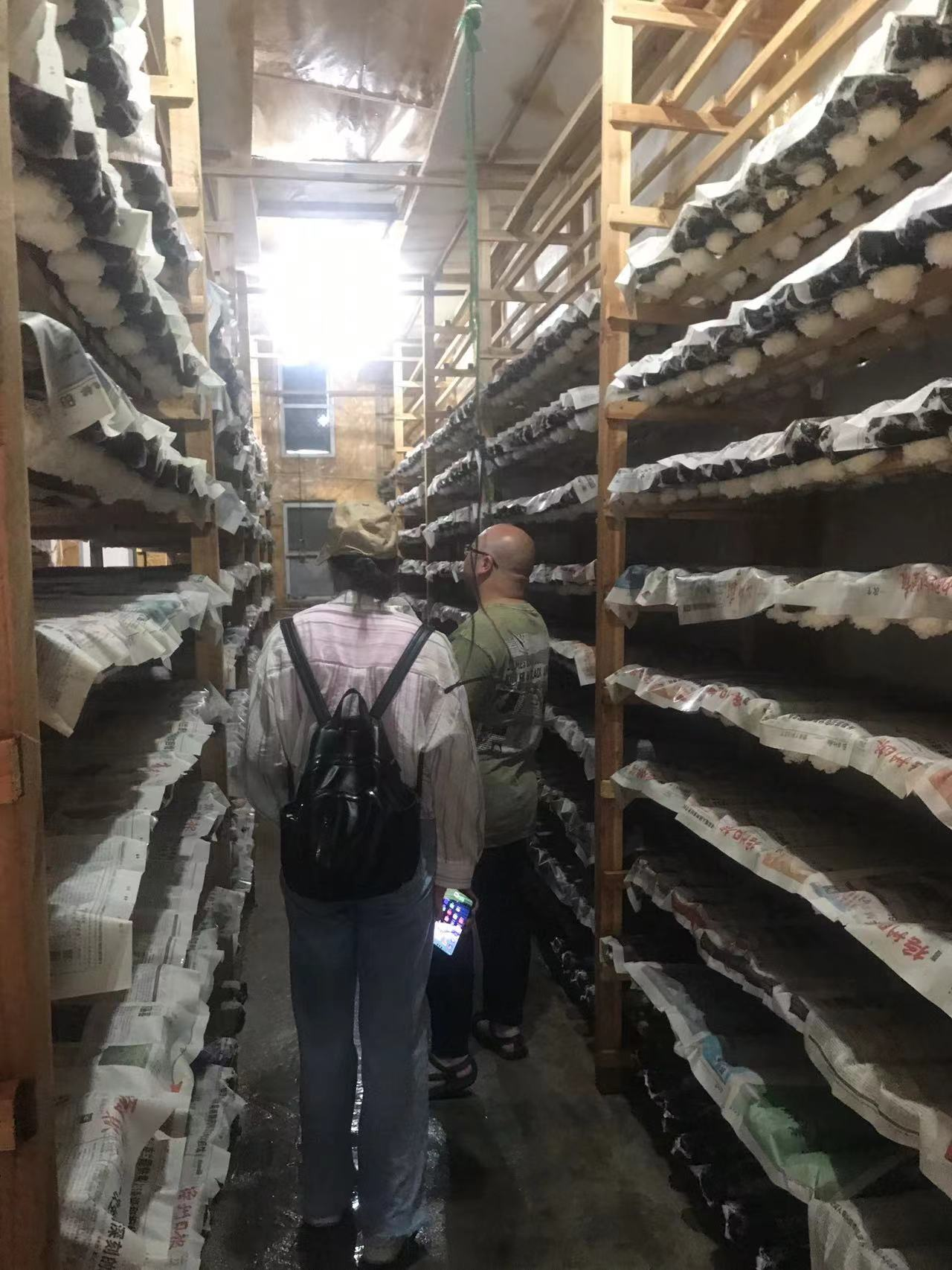 福建省药师协会组织会员到建宁莲子种植基地参观调研(图3)